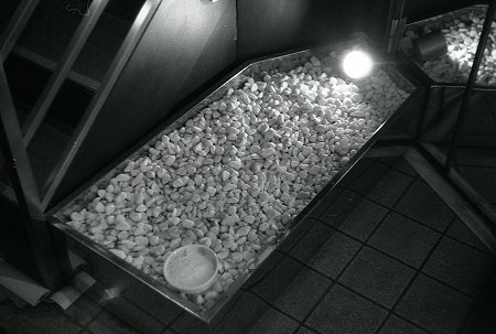 Petri Automate ペトリ　オートメイト Petri Automate ペトリ オートメイト